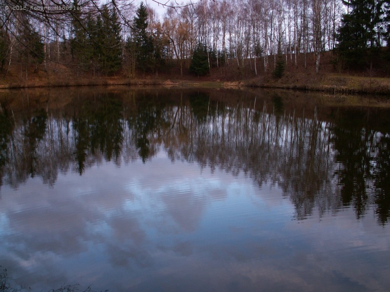 Rybník Albrechtičky II