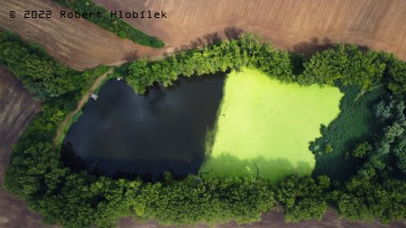 Vitčický rybník z dronu