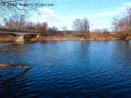Řeka Morava v lednu