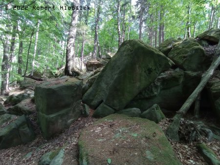 Kameny na severním svahu Ondřejovských skal
