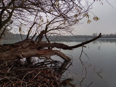Tovačovské jezera v prosinci