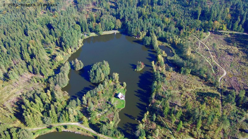 Rybník U dubu poblíž Černé Vody