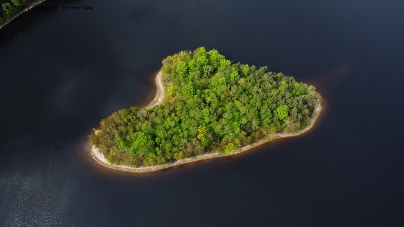 Ostrov na přehradě Seč je přírodní rezervací