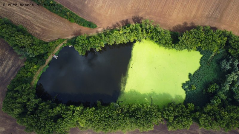 Vitčický rybník z dronu