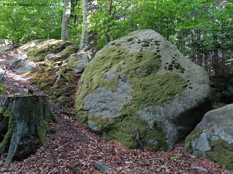 Kameny na úpatí Ondřejovských skal