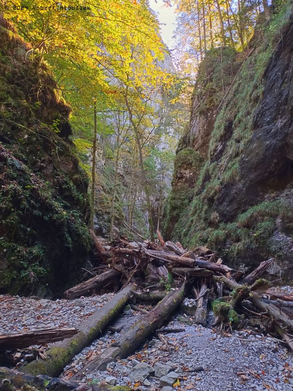 Průchod roklinou Velký Sokol - Slovenský raj