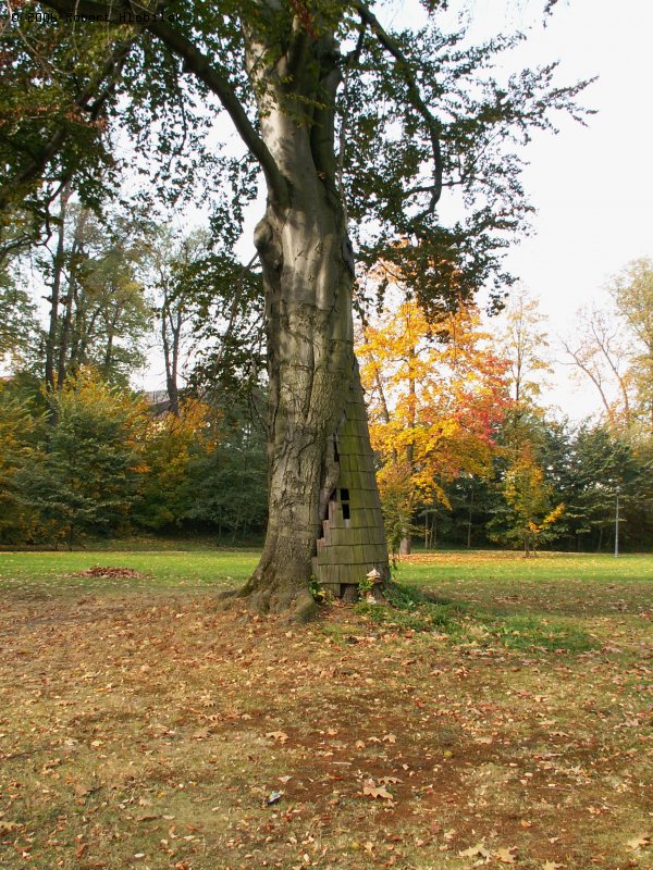Opravený strom v zámeckém parku Bartošovice